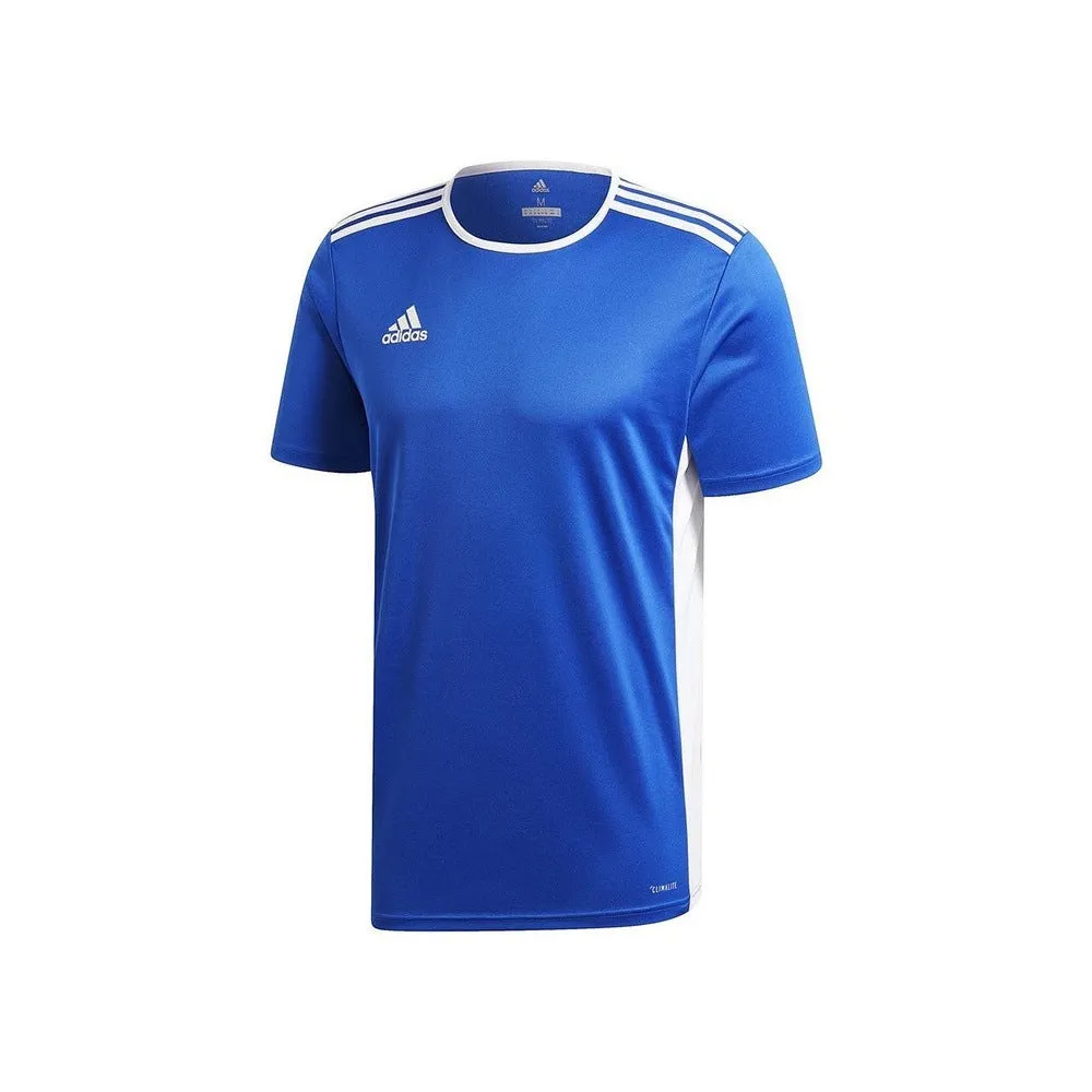 adidas Striped Blue Workout Tshirt