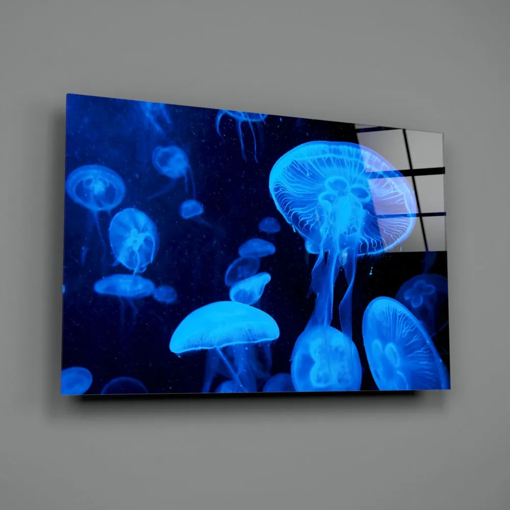 Jellyfish