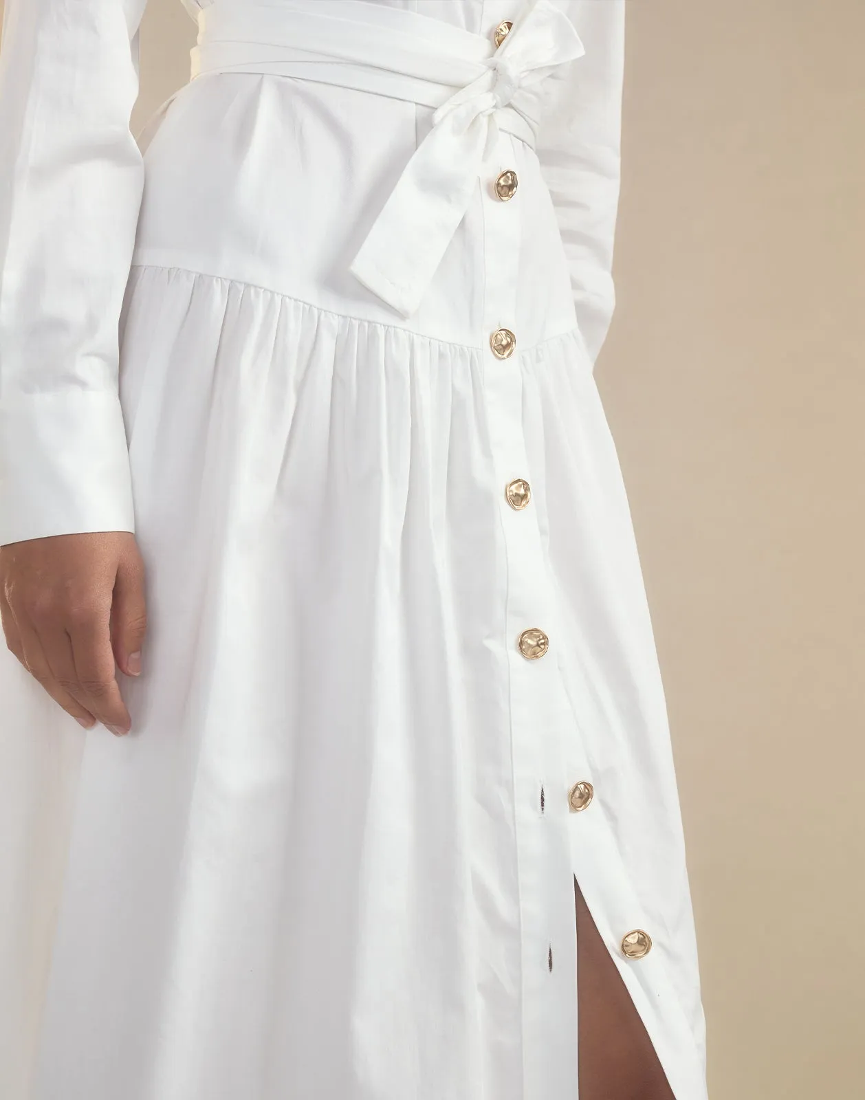 Perennial Shirt Dress