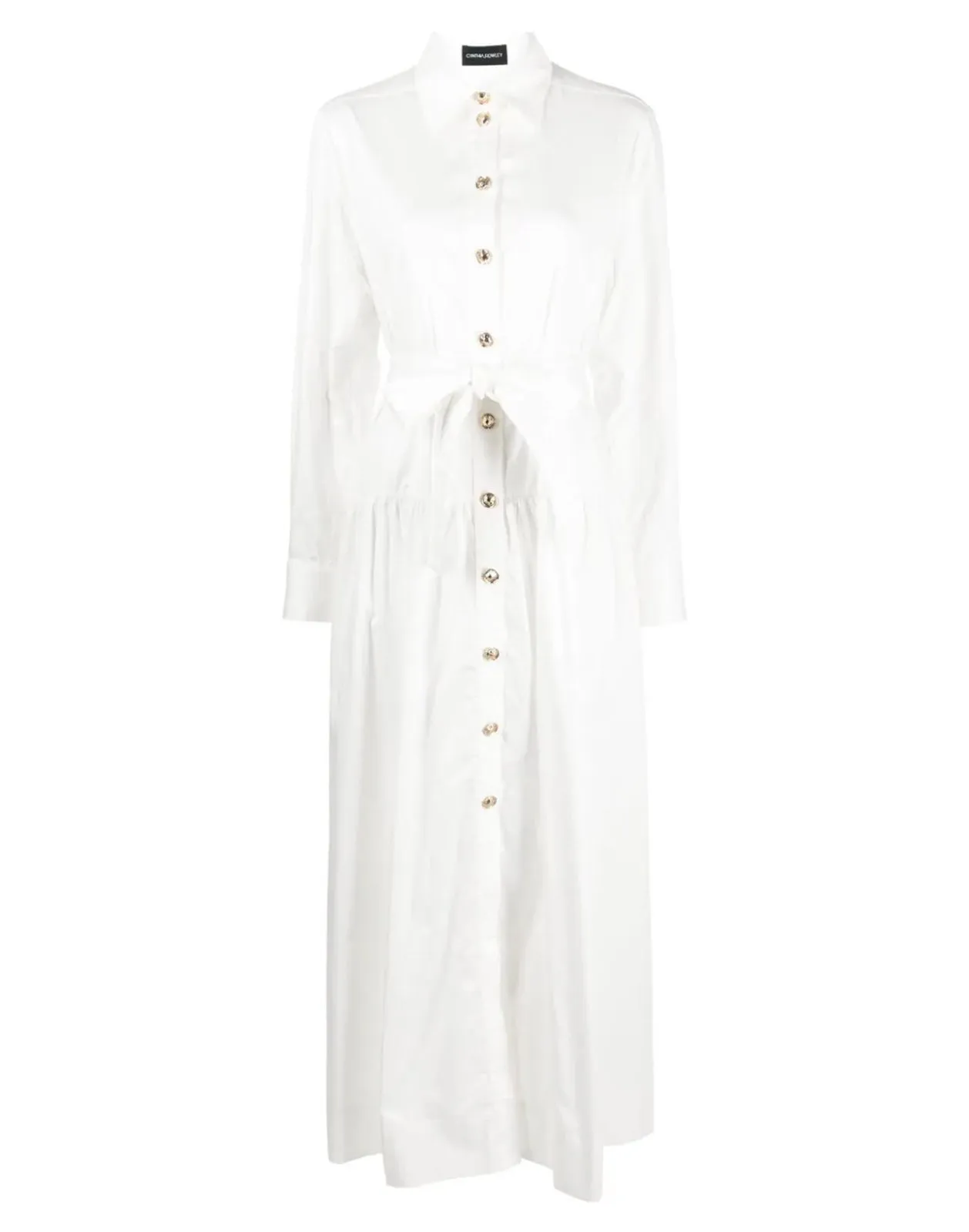 Perennial Shirt Dress