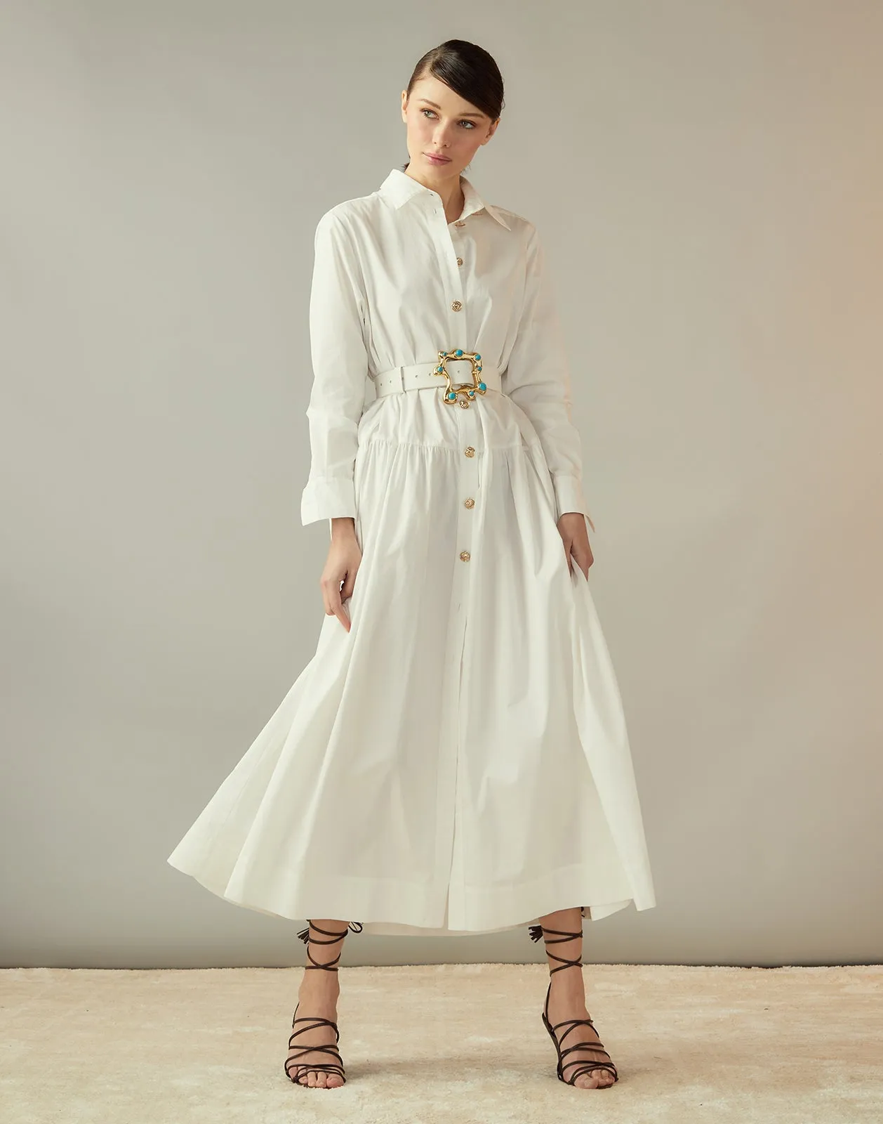 Perennial Shirt Dress