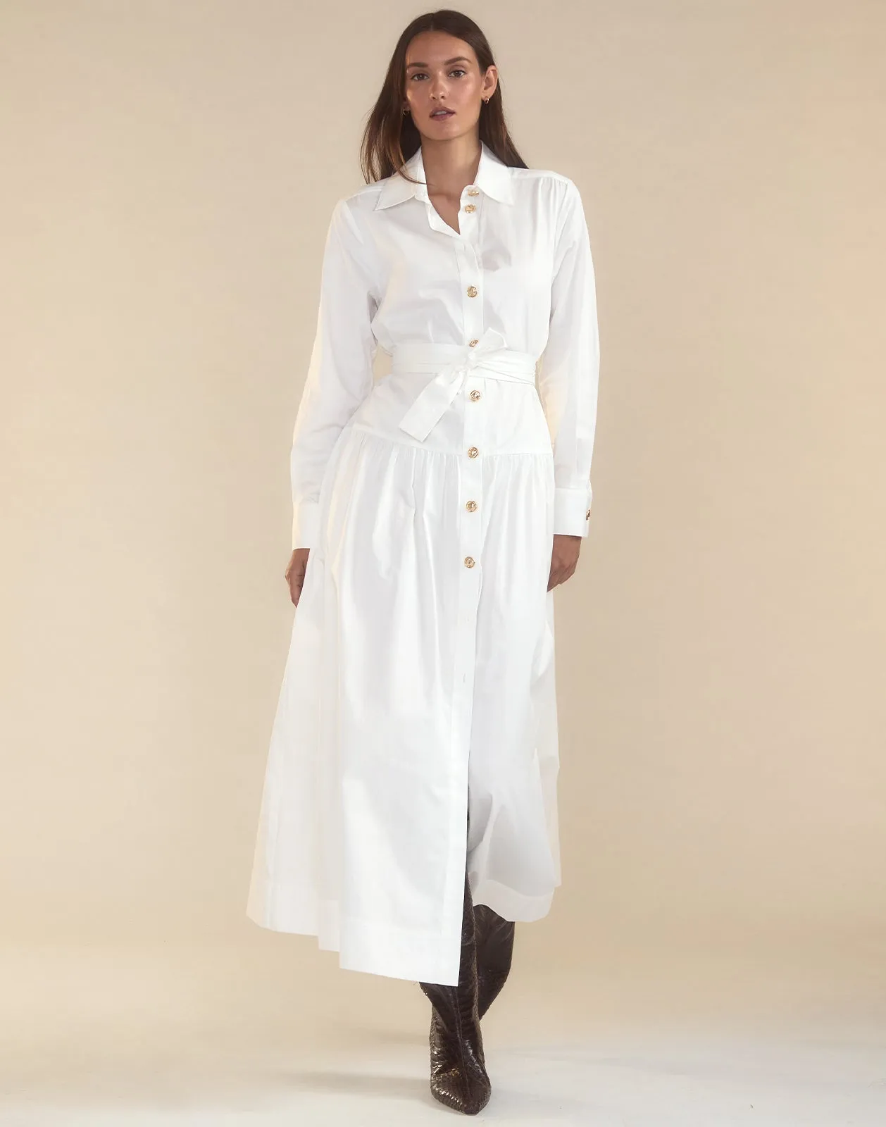 Perennial Shirt Dress