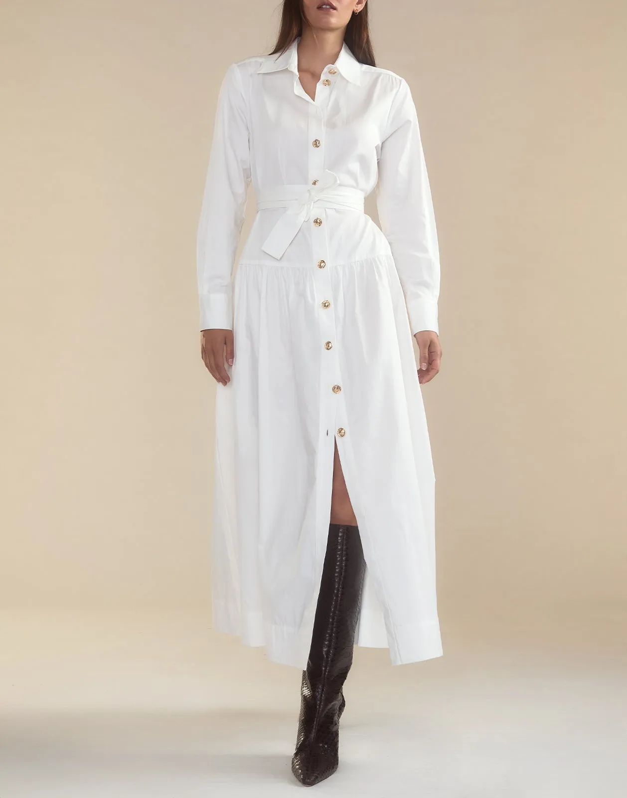 Perennial Shirt Dress