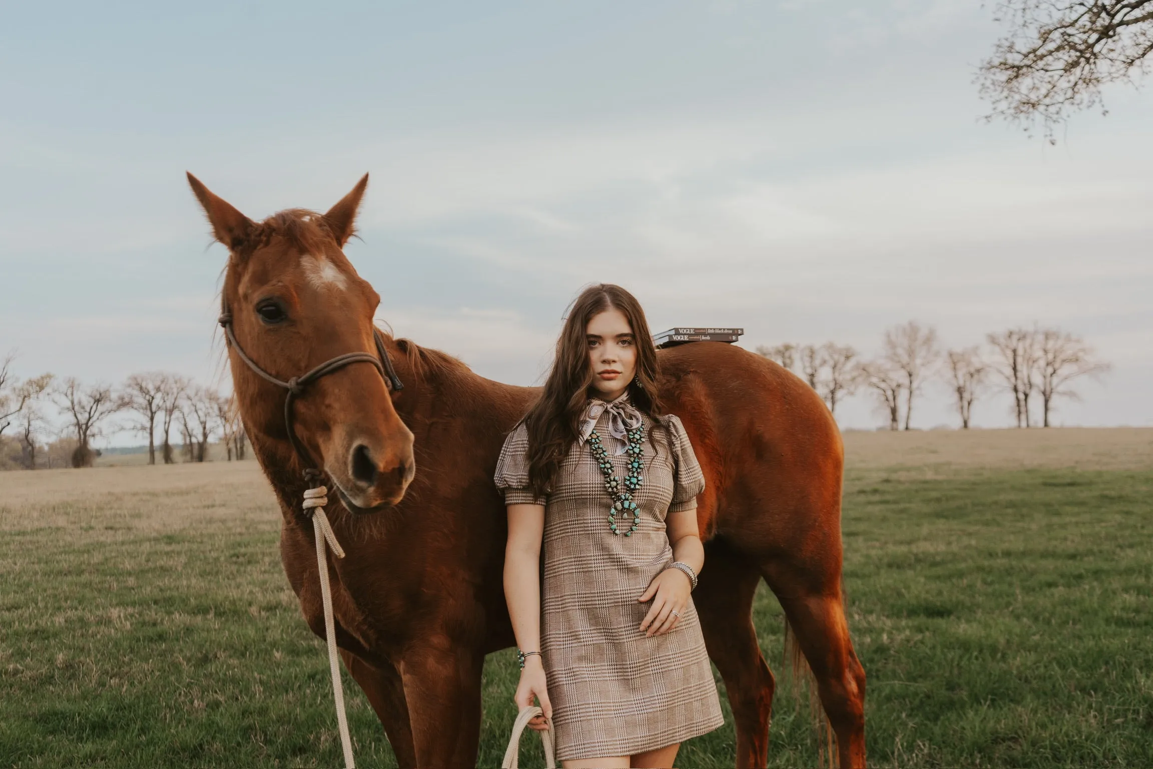 The Roan Dress